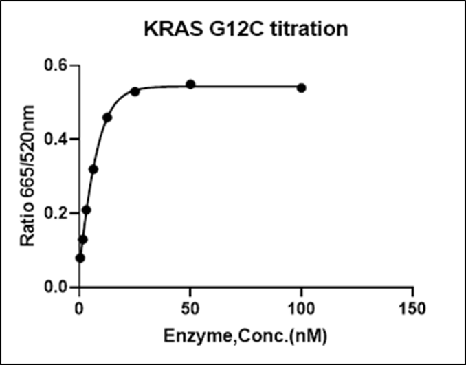 KRAS [G12C]  His Tag Protein