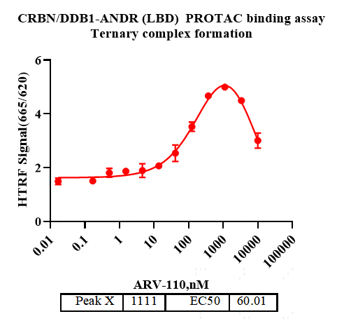 ANDR(LBD) Protein, Human