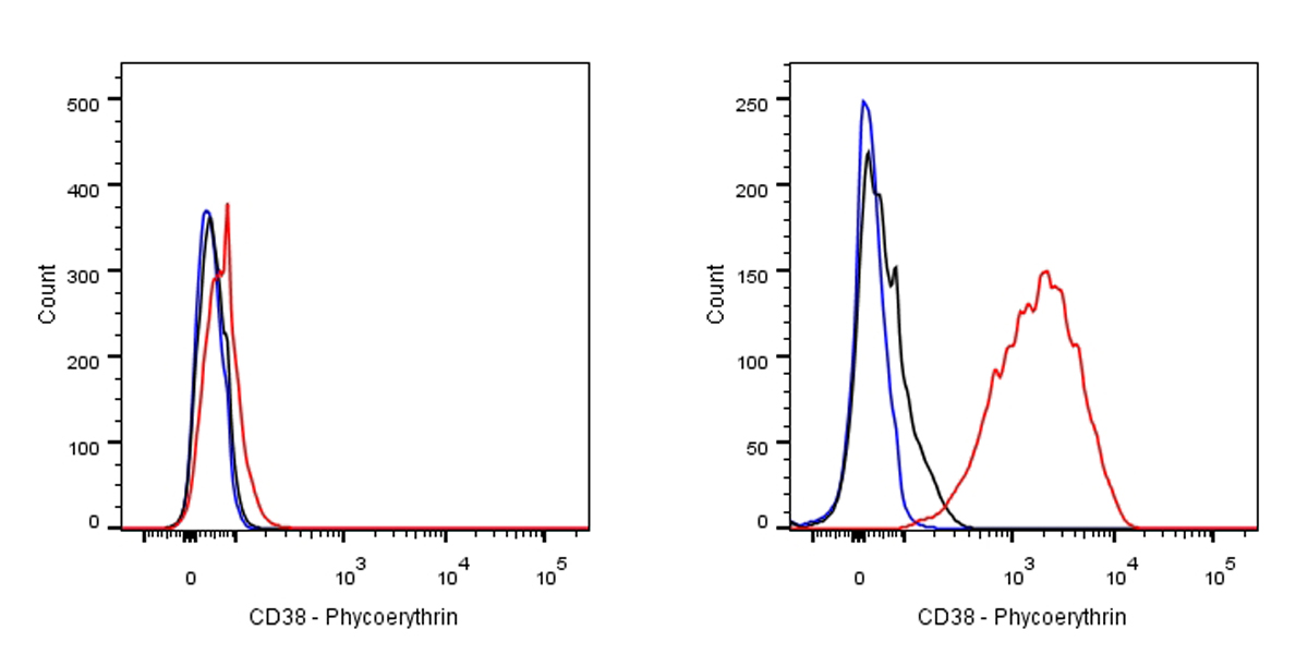 PE Rabbit Anti-Human CD38 Antibody (SDT-031-45)