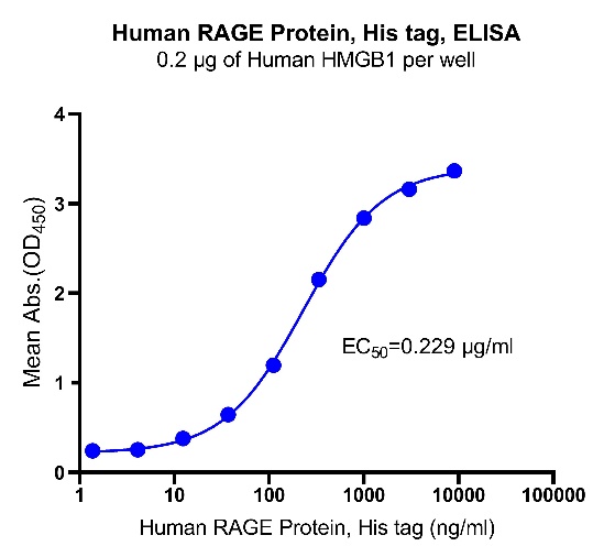 Human RAGE Protein, His tag