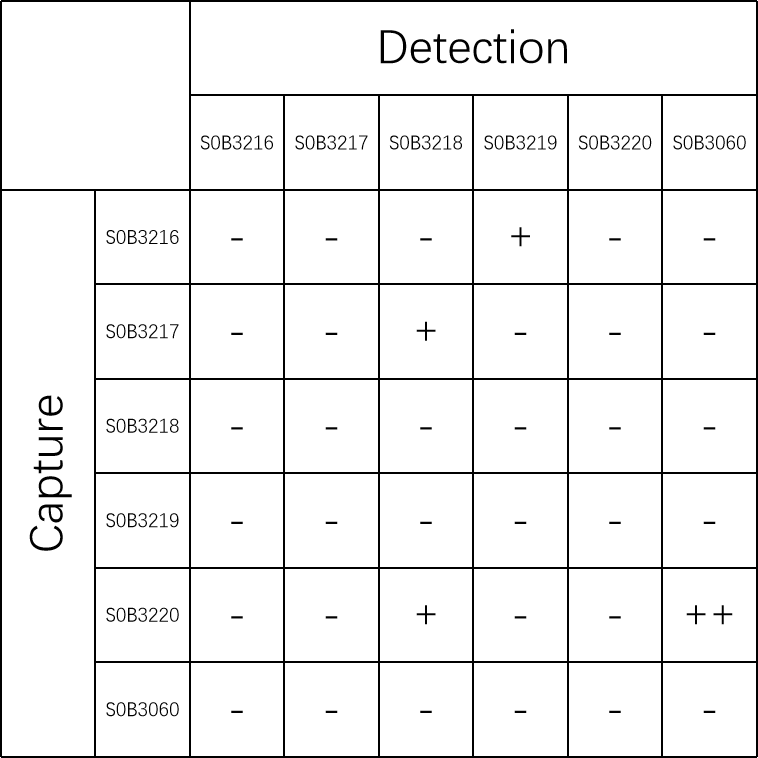 Tau Recombinant Rabbit mAb (SDT-173-26)