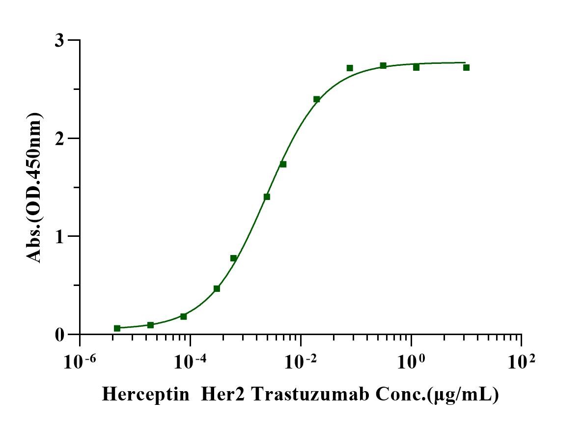 Her2 His Tag Protein, Cynomolgus