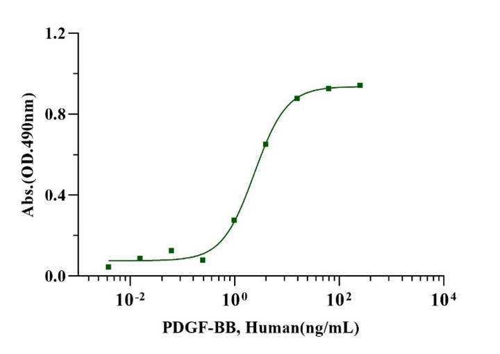 PDGF-BB Protein, Human