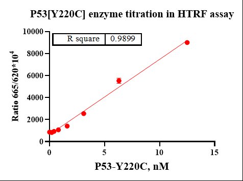 p53[Y220C] His Tag Protein