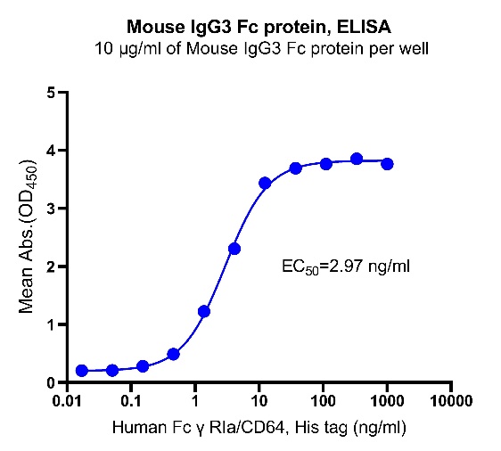 Mouse IgG3 Fc protein