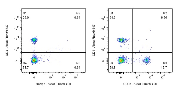 CD8α Recombinant Rat mAb (S-353-45)