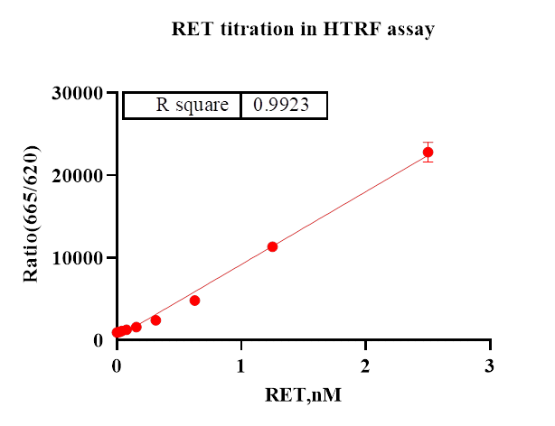 RET Protein