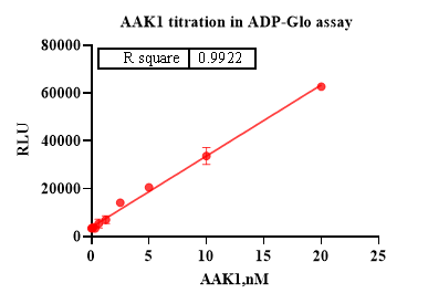AAK1 Protein