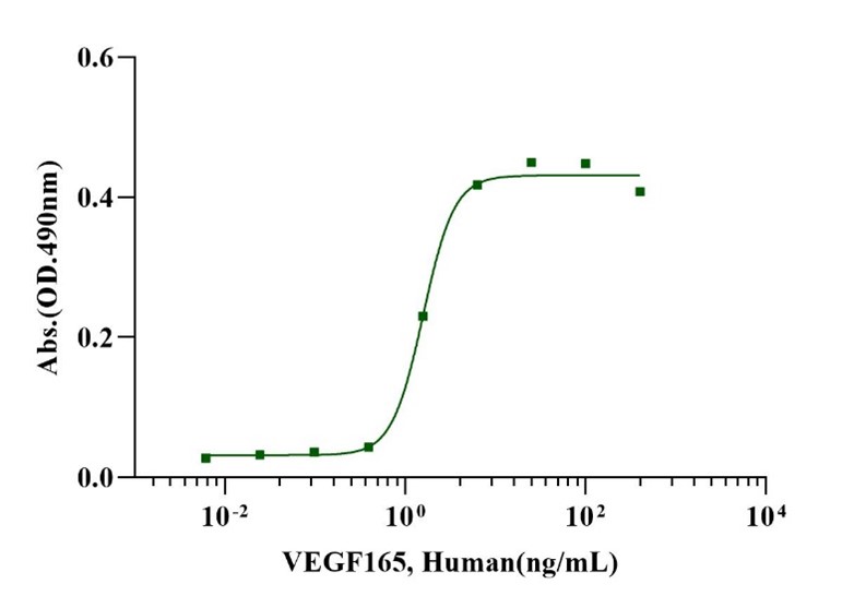 VEGF165 Protein, Human