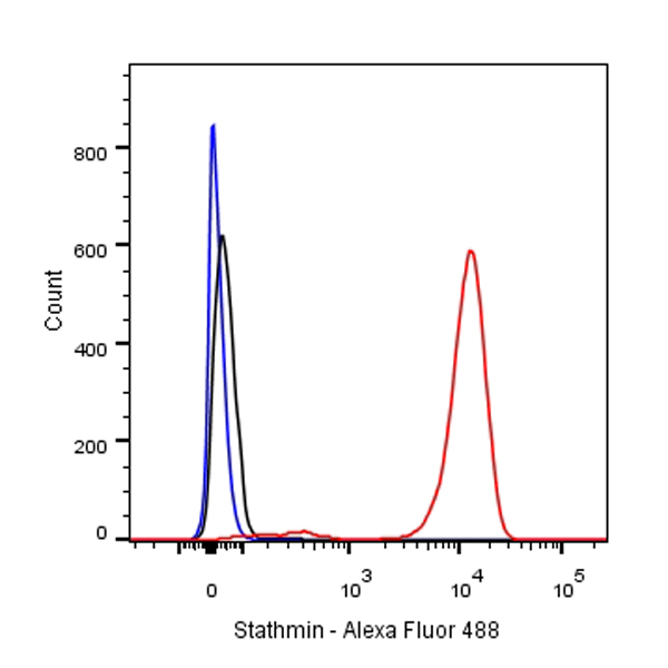Stathmin Recombinant Rabbit mAb (SDT-R023)