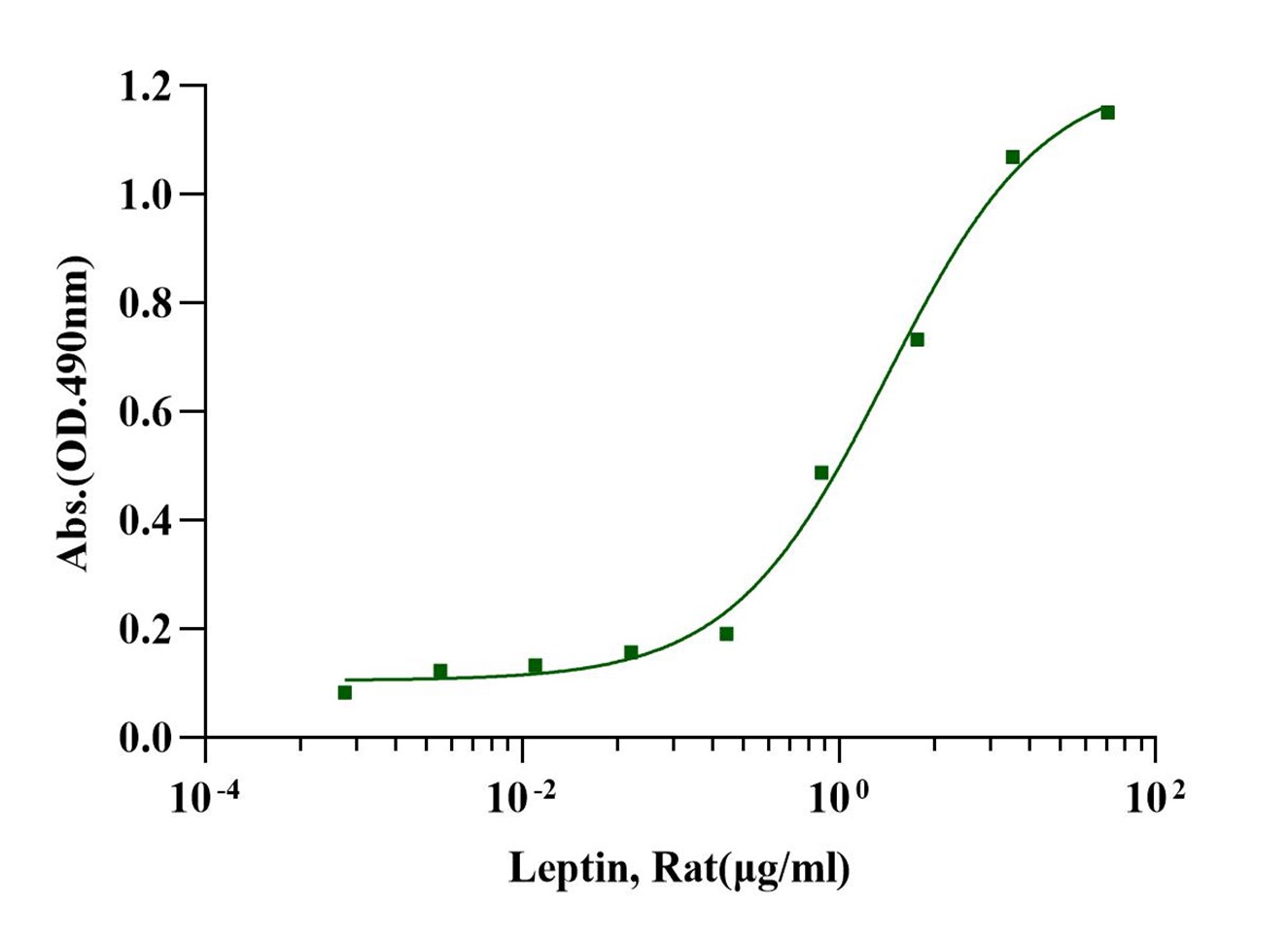 Leptin Protein, Rat