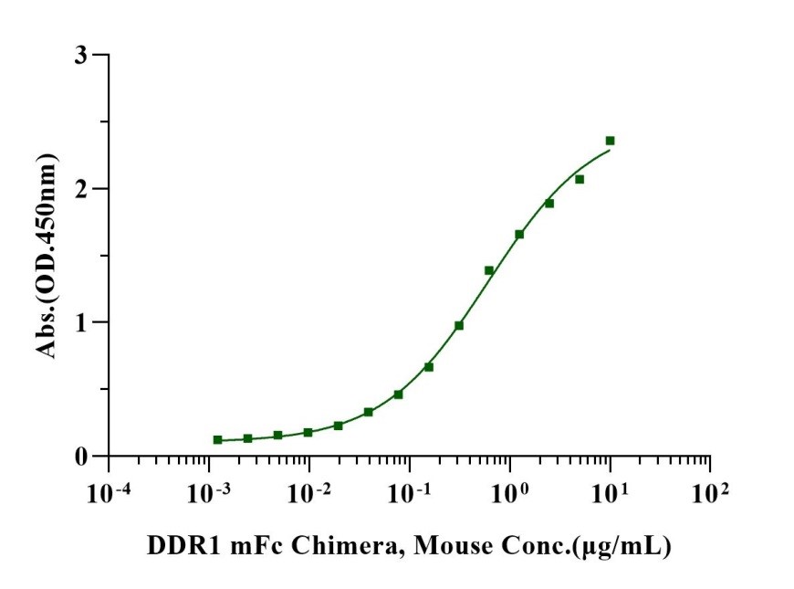 DDR1 mFc Chimera Protein, Mouse