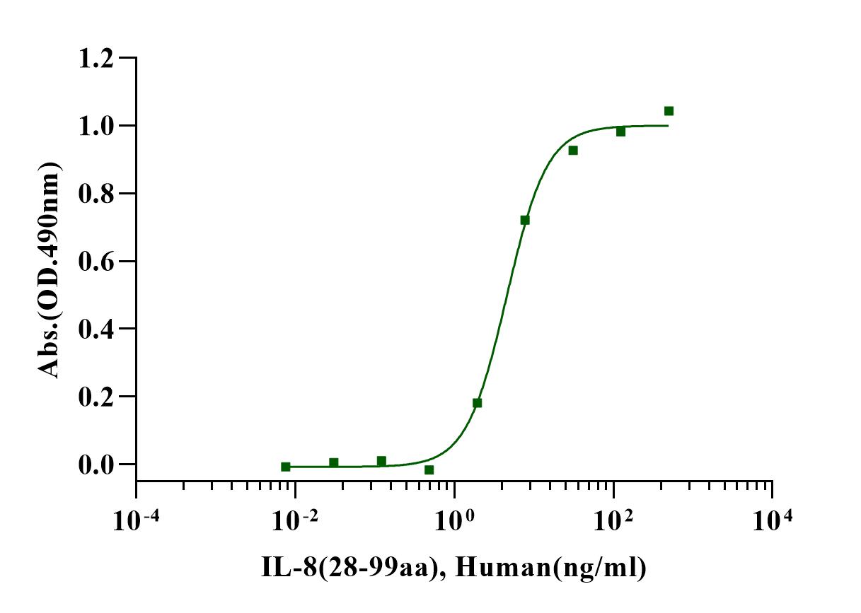 IL-8 (28-99) Protein, Human
