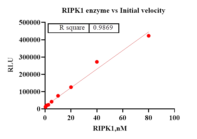 RIPK1 Protein