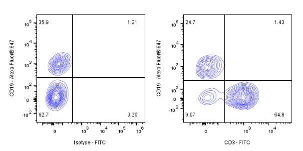 FITC Rat Anti-Mouse CD3 Antibody (17A2)