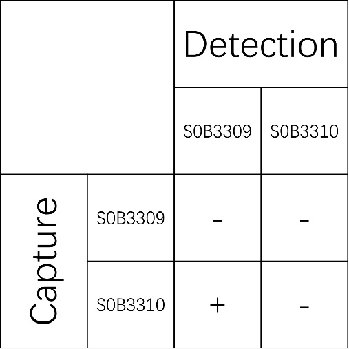Thyroglobulin Recombinant Rabbit mAb (SDT-209-498)