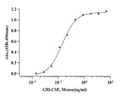GM-CSF Protein, Mouse