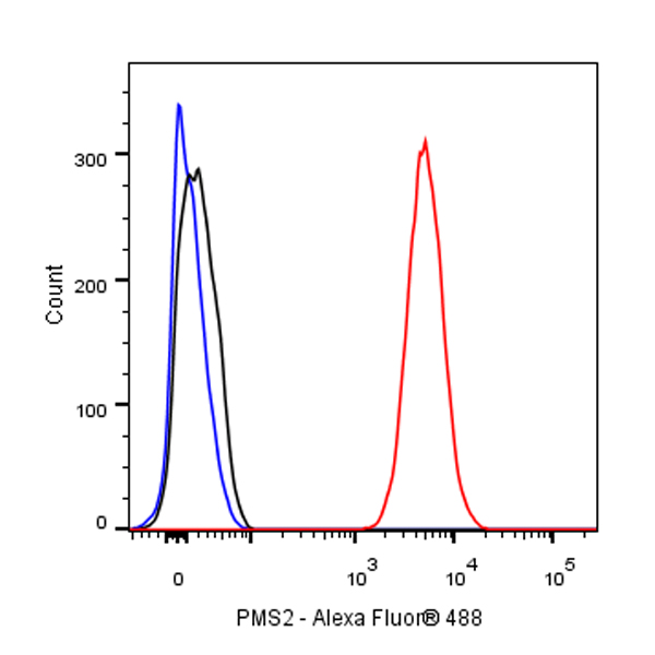 PMS2 Recombinant Rabbit mAb (SDT-111-307)