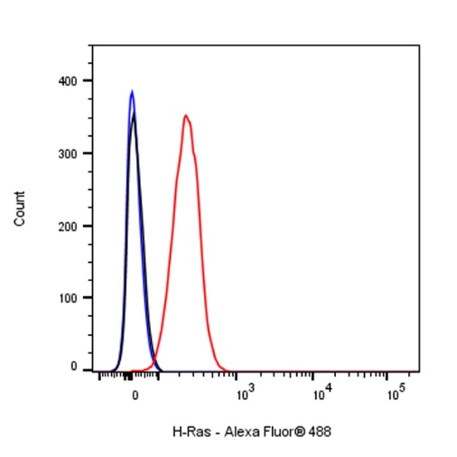 H-Ras Recombinant Rabbit mAb (S-1017-79)