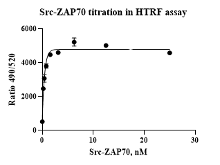 SRC-ZAP70 Protein