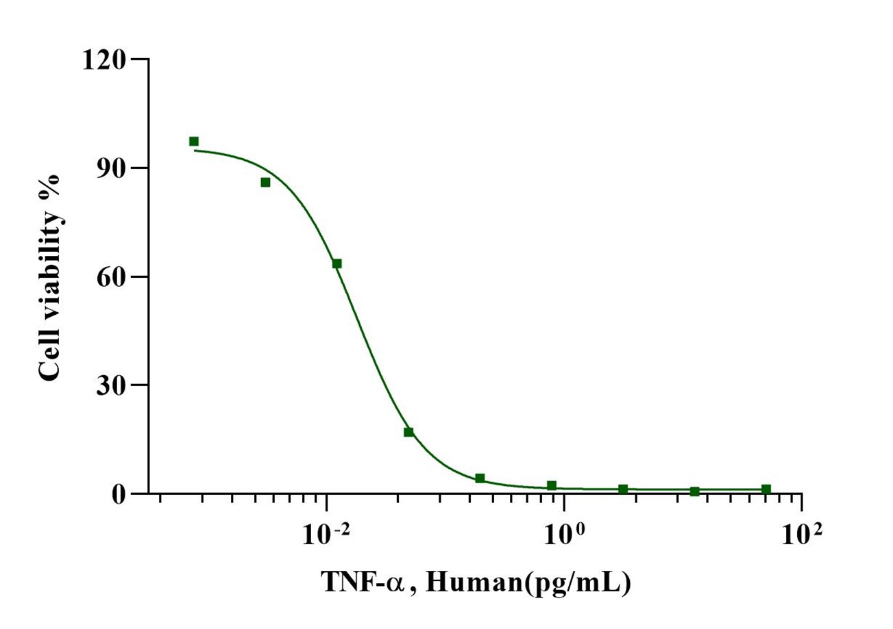 TNF-α Protein, Human