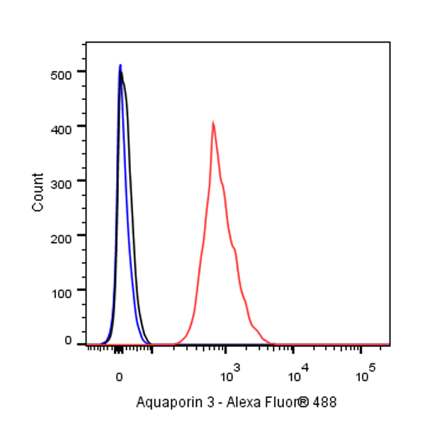 Aquaporin 3/AQP3 Recombinant Rabbit mAb (SDT-388-75)