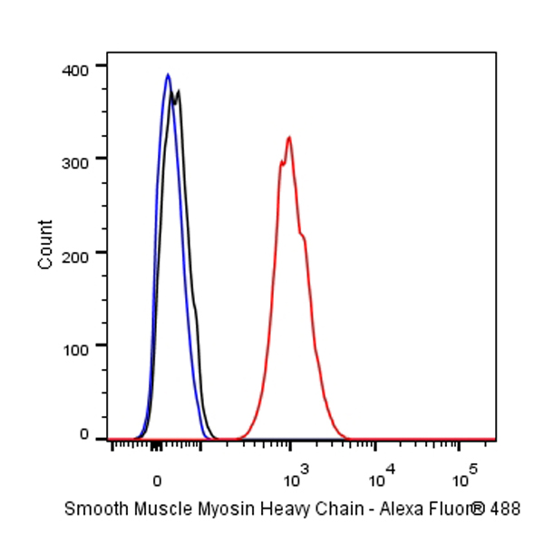 Smooth Muscle Myosin Heavy Chain (SMMHC) Recombinant Rabbit mAb (SDT-R089)