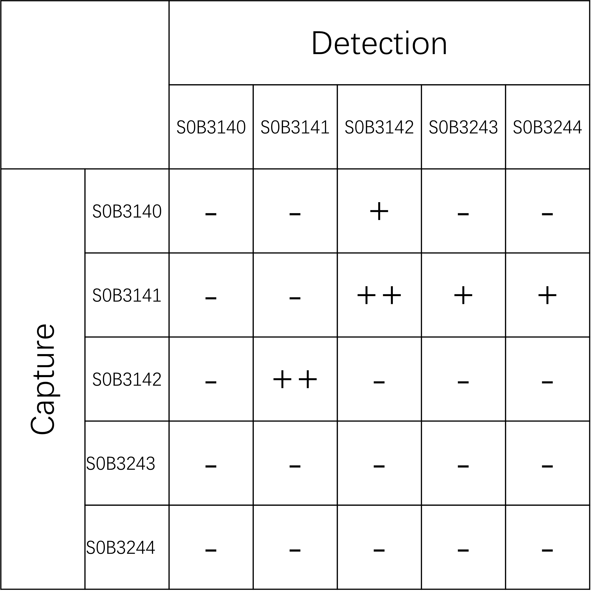 sFlt-1 Recombinant Rabbit mAb (SDT-233-26-2)
