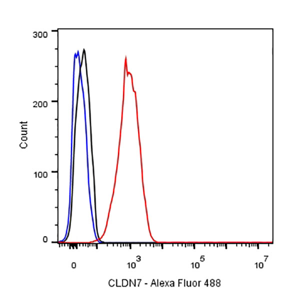 CLDN7 Recombinant Rabbit mAb (SDT-077-17)