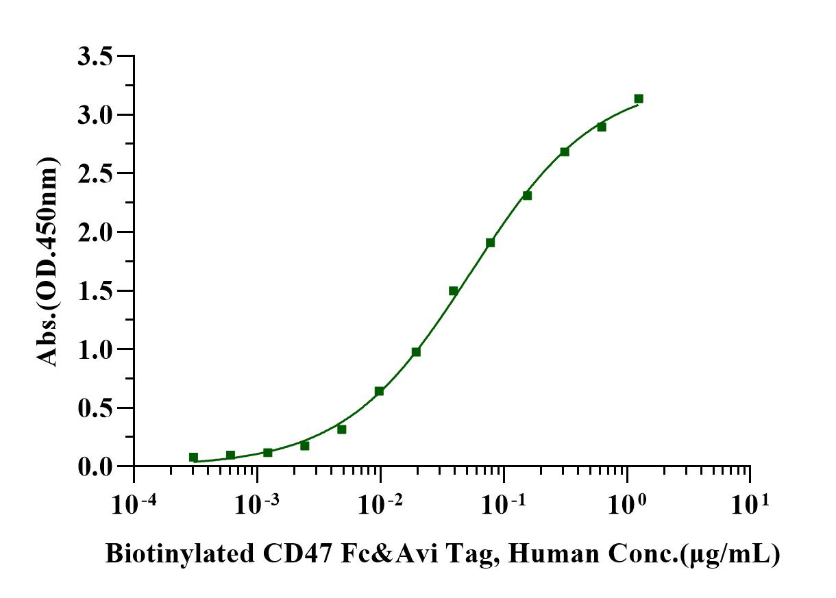 Biotinylated CD47 Fc&Avi Tag Protein, Human