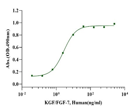KGF/FGF-7 Protein, Human