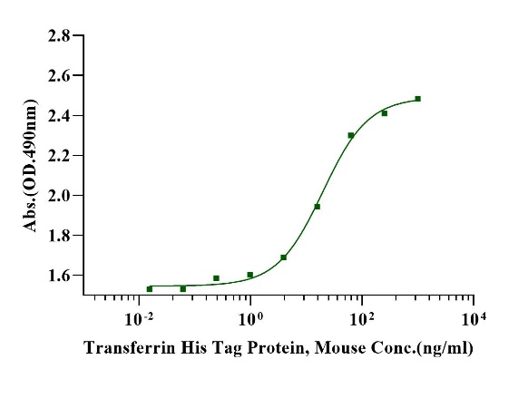Transferrin His Tag Protein, Mouse