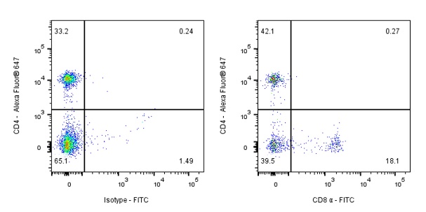 FITC Rat Anti-Mouse CD8α Antibody (S-353-45)