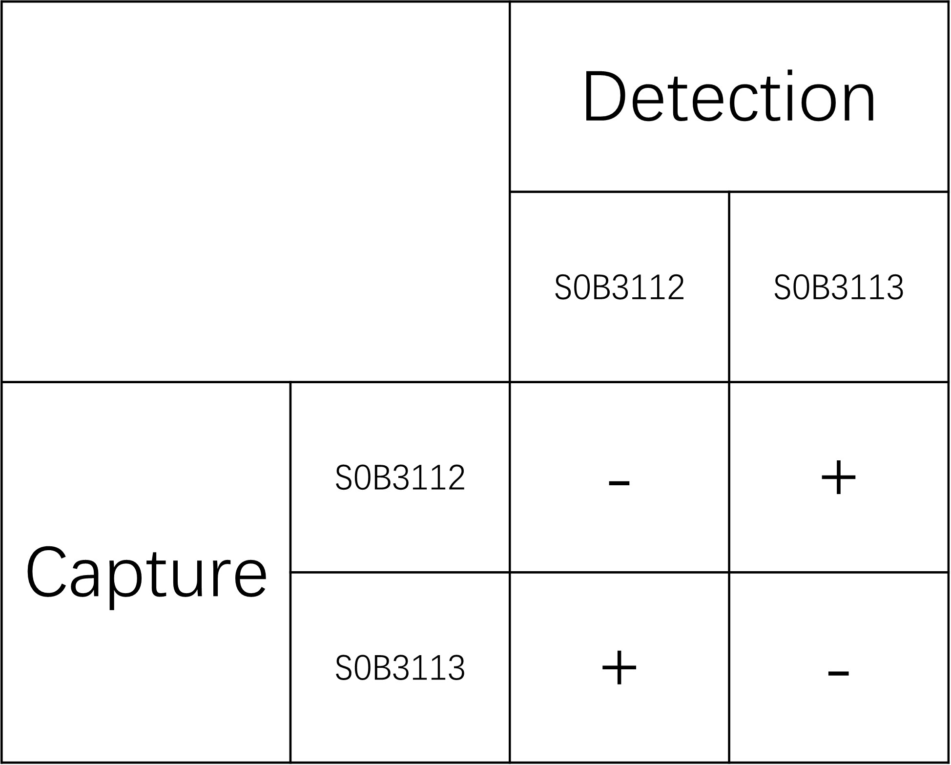 IGFBP1 Recombinant Rabbit mAb (SDT-196-102)