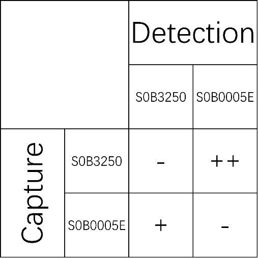 IFN-γ Recombinant Rabbit mAb (SDT-212-36)