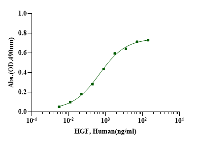 HGF Protein, Human