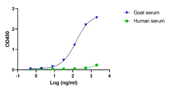 Donkey Anti-Goat IgG(H+L) (min X Hu Sr Prot)