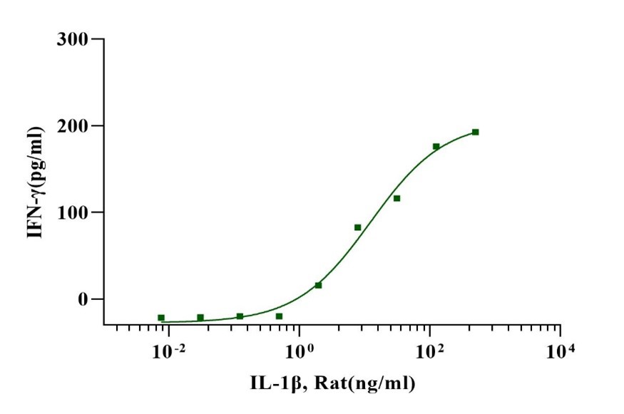 IL-1β Protein, Rat