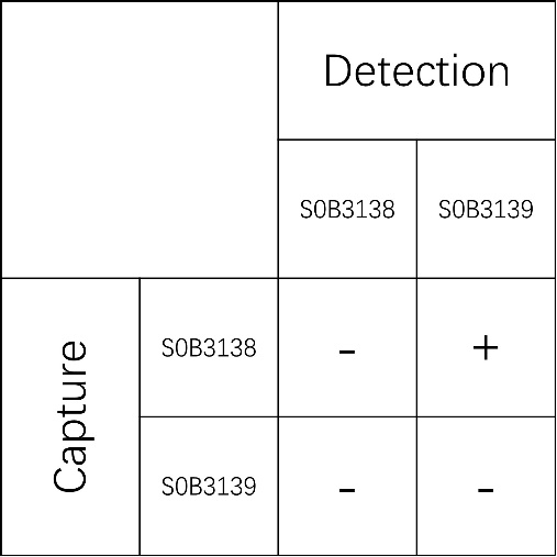 PIIINP Recombinant Rabbit mAb (SDT-149-50)