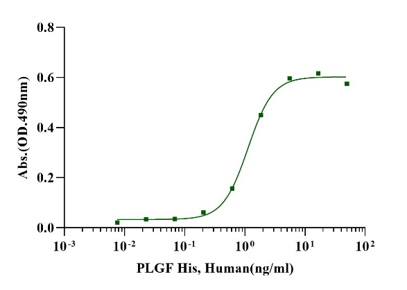 PlGF-1/PLGF/PGF Protein, Human