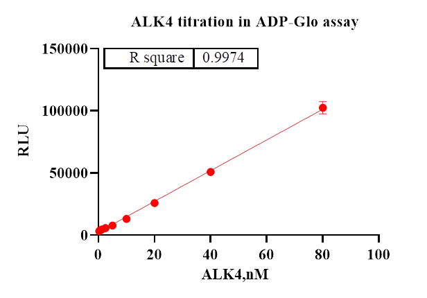 ALK4 Protein