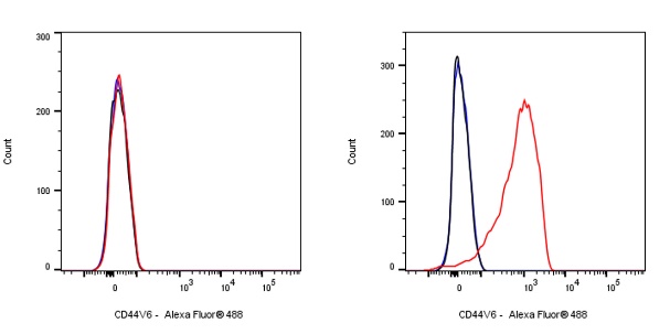 CD44v6 Mouse mAb (S-945-76)