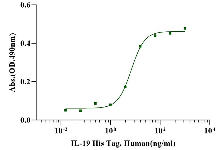 IL-19 Protein, Human