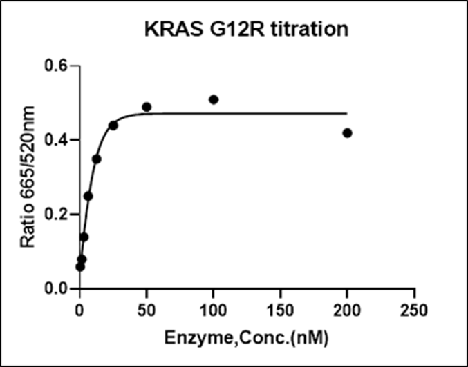 KRAS [G12R] Avi&His Tag Protein