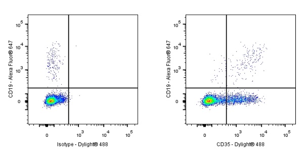 CD35 Recombinant Rabbit mAb (S-1294-26)