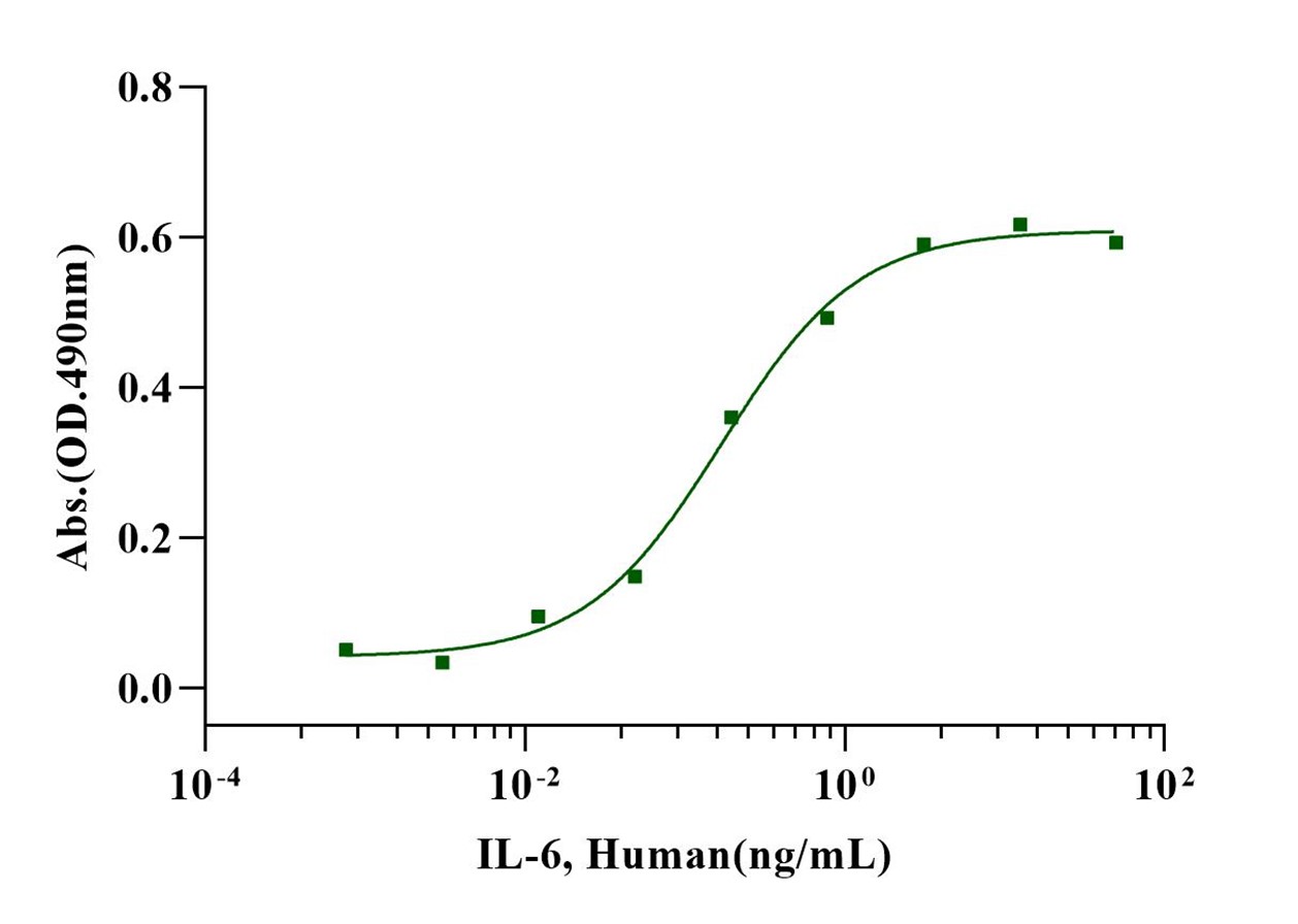 IL-6 Protein, Human