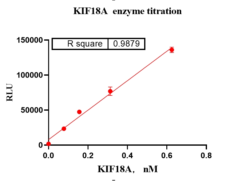 KIF18A Protein