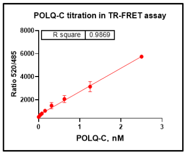 POLtheta Protein