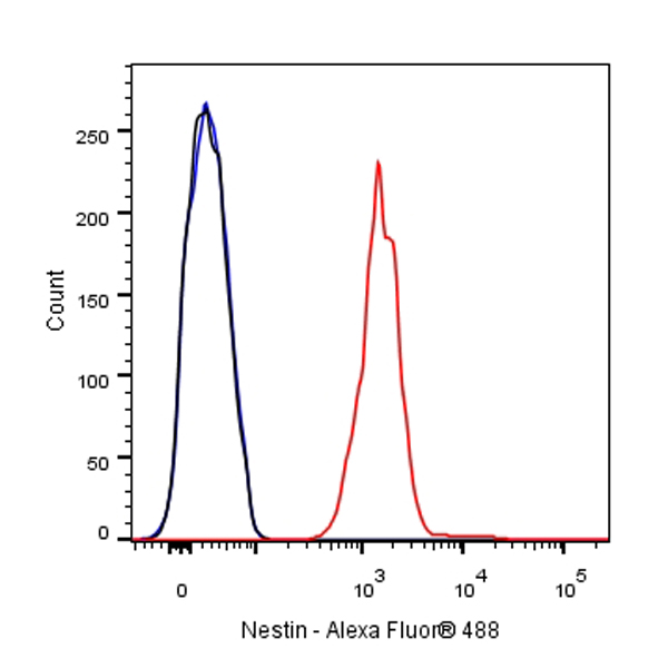 Nestin Recombinant Rabbit mAb (SDT-R112)