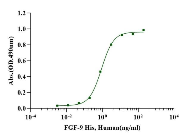 FGF-9 Protein, Human